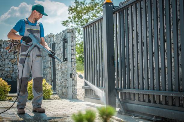 Best Solar Panel Cleaning  in La Plata, NM